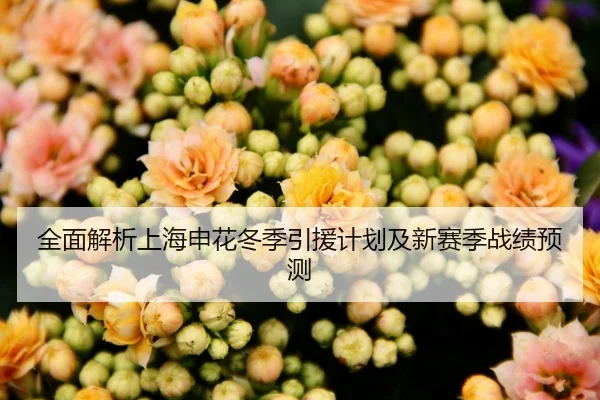全面解析上海申花冬季引援计划及新赛季战绩预测