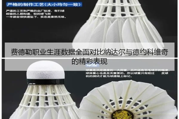 费德勒职业生涯数据全面对比纳达尔与德约科维奇的精彩表现